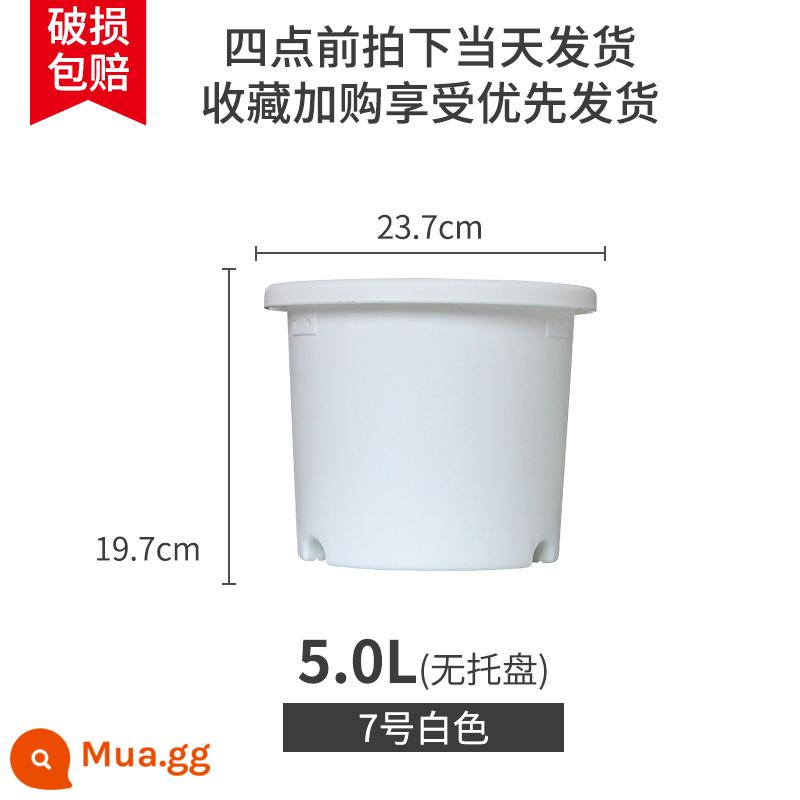 IRISDeepot Bắc Âu điều khiển đơn giản gốc nhựa gallon nồi hoa hồng tú cầu vàng Ge Alice chậu hoa nhựa - số 7 màu trắng