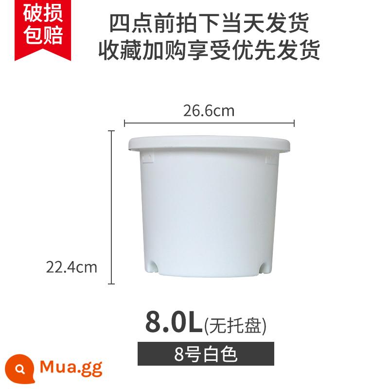 IRISDeepot Bắc Âu điều khiển đơn giản gốc nhựa gallon nồi hoa hồng tú cầu vàng Ge Alice chậu hoa nhựa - Số 8 màu trắng