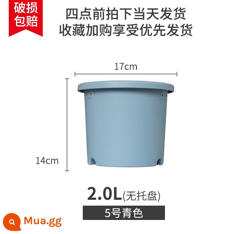 IRISDeepot Bắc Âu điều khiển đơn giản gốc nhựa gallon nồi hoa hồng tú cầu vàng Ge Alice chậu hoa nhựa - Số 5 màu lục lam