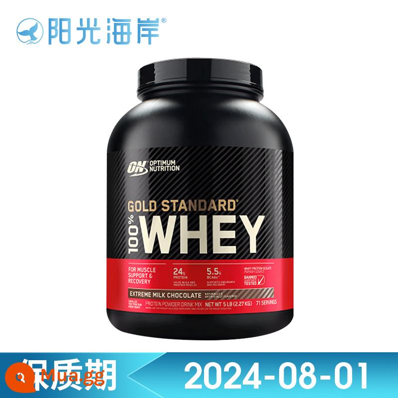 TRÊN optimon gold whey protein bột thể hình bột xây dựng cơ bắp bột dinh dưỡng bột xây dựng cơ bắp WHEY5 lbs/lon dành cho người lớn - Vị socola sữa 2270g/5 pound