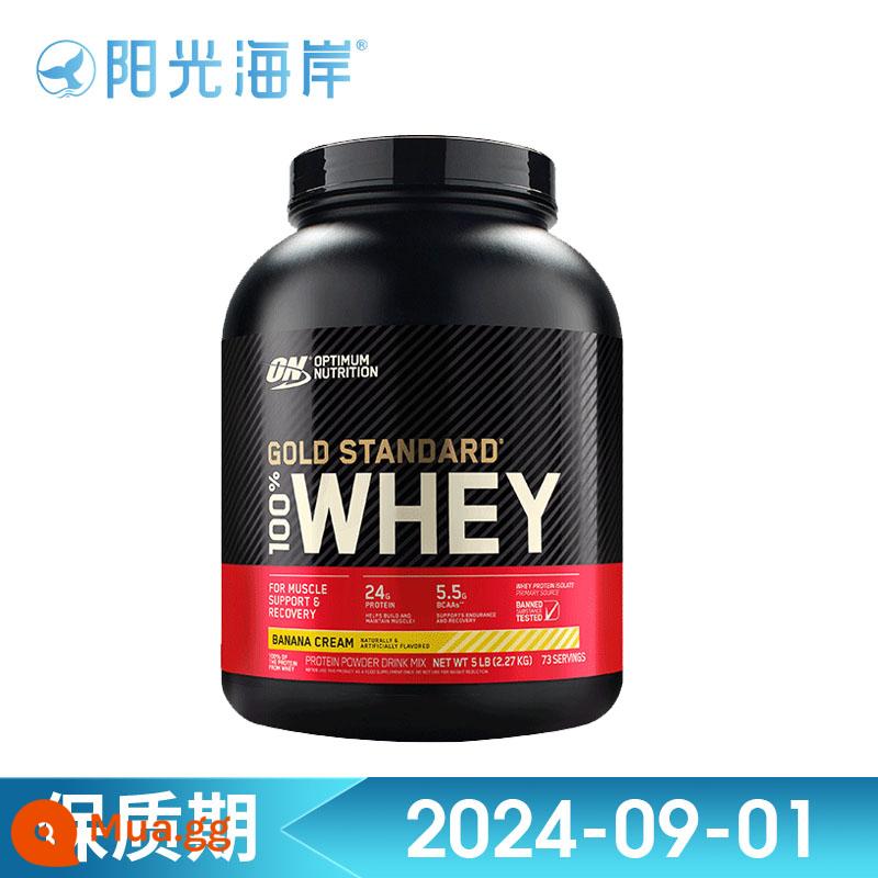 TRÊN optimon gold whey protein bột thể hình bột xây dựng cơ bắp bột dinh dưỡng bột xây dựng cơ bắp WHEY5 lbs/lon dành cho người lớn - Vị kem chuối 2270g/5 pound