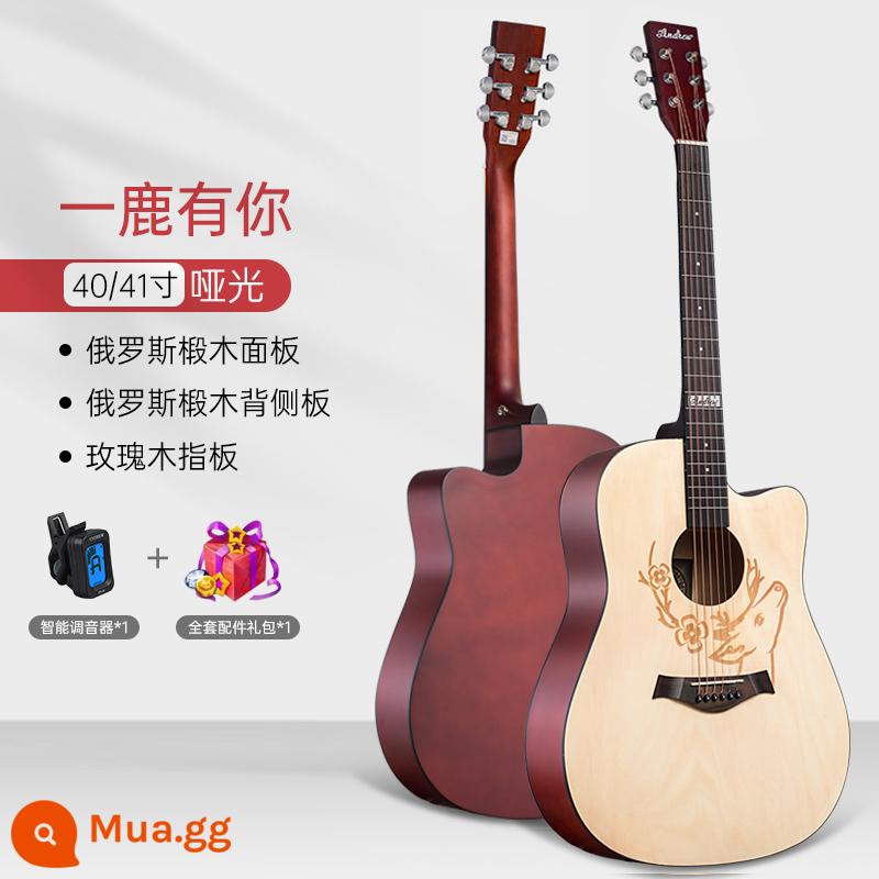 Andrew người mới bắt đầu đàn guitar dân gian bề mặt đơn 41 inch phụ nữ đàn guitar veneer nam sinh viên đặc biệt hộp điện nhạc cụ - Yulu có bạn + phụ kiện + bộ chỉnh