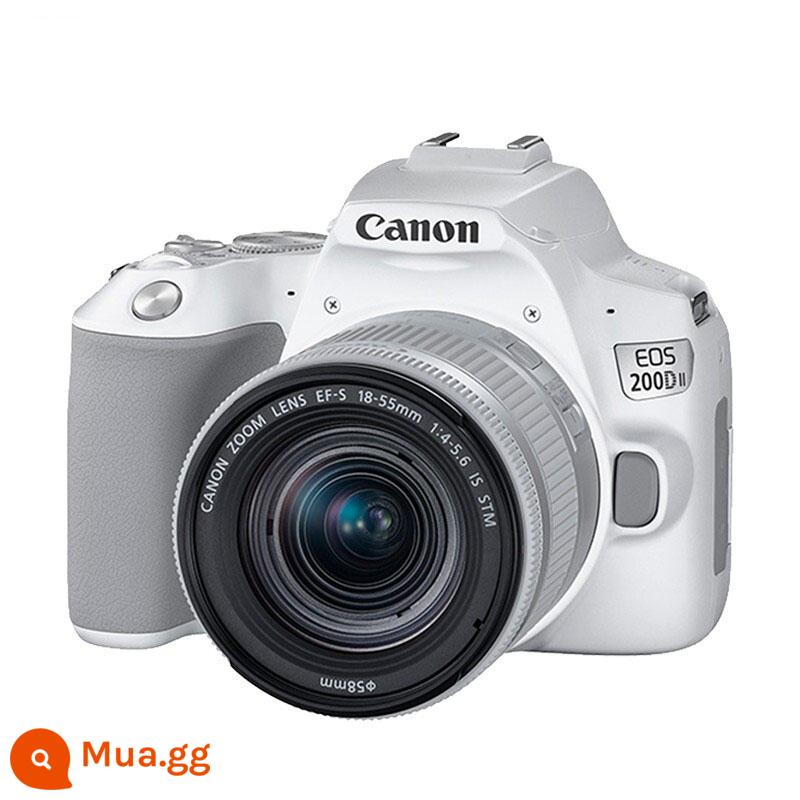 [Tự vận hành] Canon (Canon) 200d Máy ảnh SLR kỹ thuật số 200Dii thế hệ thứ hai 18-55 cấp nhập cảnh - Trắng