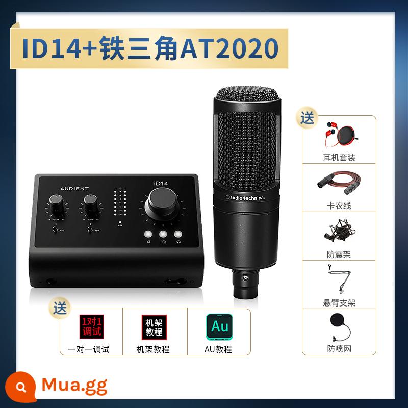 Audient/Orton ID4 ID14 MKII Ghi âm chuyên nghiệp Dubbing Truyền phát trực tiếp Thẻ âm thanh bên ngoài - iD14+AT2020