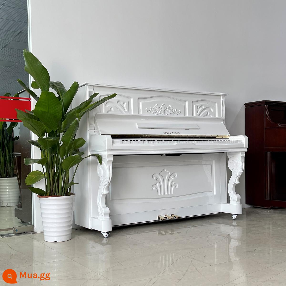 Nhập khẩu ban đầu Yingchang U121 người chơi chuyên nghiệp dành cho người lớn piano đã qua sử dụng bài kiểm tra thực hành dành cho người mới bắt đầu - Yingchang 121NFI trắng