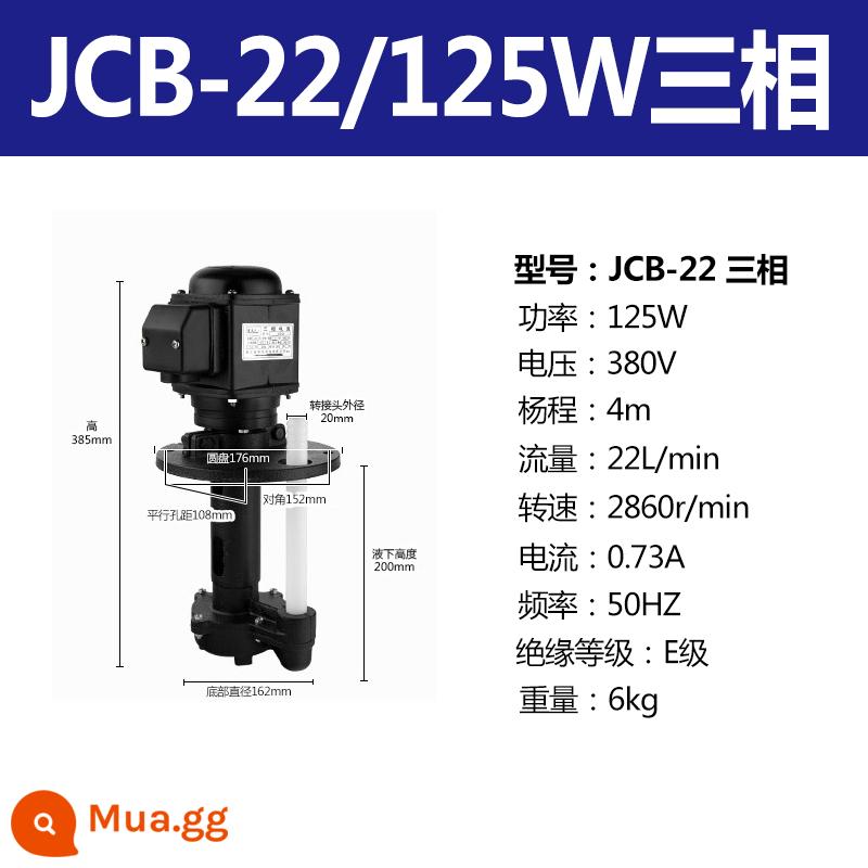 Leibao DB ABJCB máy mài bơm dầu làm mát bơm cắt dây chu kỳ ba pha bơm điện 220V380V bơm nước - JCB-22/125W380V