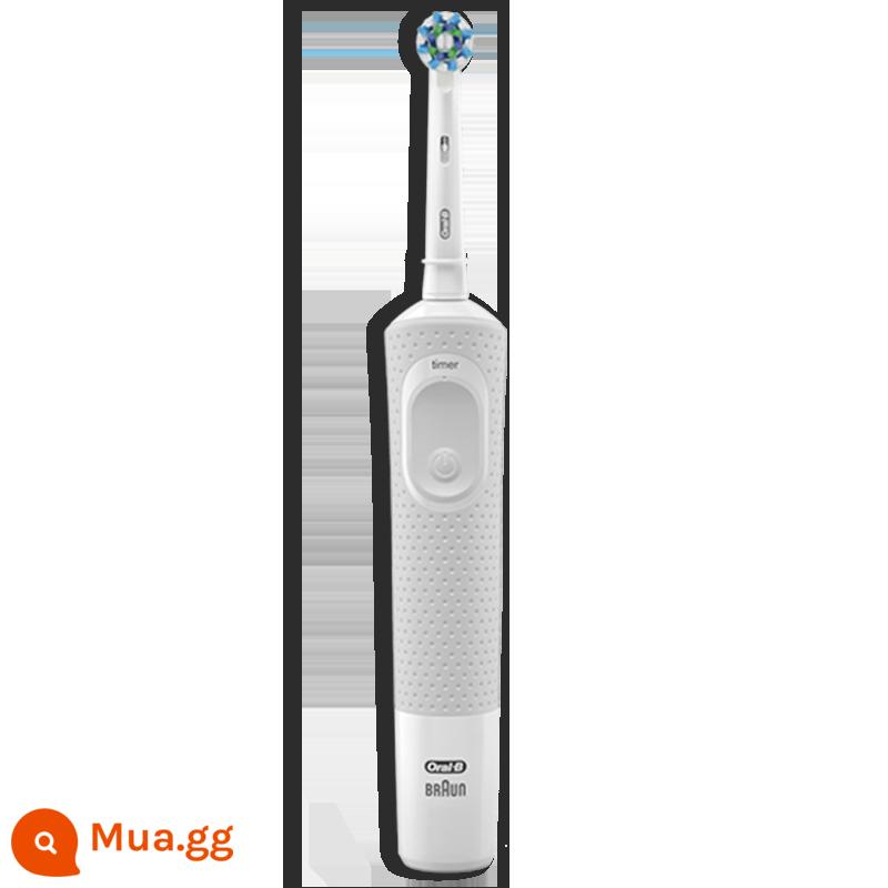 Bàn chải đánh răng điện OralB Oral B D100 nhà trưởng thành cặp đôi tóc mềm cảm ứng sạc xoay gói đơn - D100-Trắng tinh khiết [gồm 1 đầu cọ]