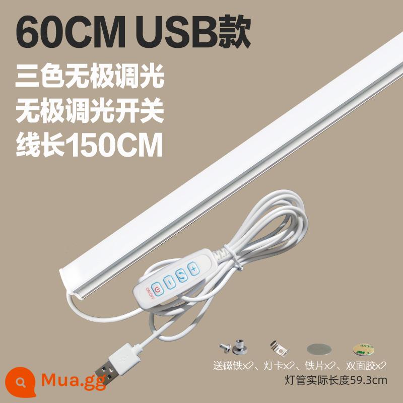 Thoáng Mát Đèn LED Để Bàn Ống USB Ký Túc Xá Sinh Viên Bảo Vệ Mắt Ánh Sáng Trắng Vô Cấp Mờ Dải Phòng Ngủ Hiện Đại Cắm Đèn - Mẫu USB 60cm ba màu [làm mờ vô cấp]