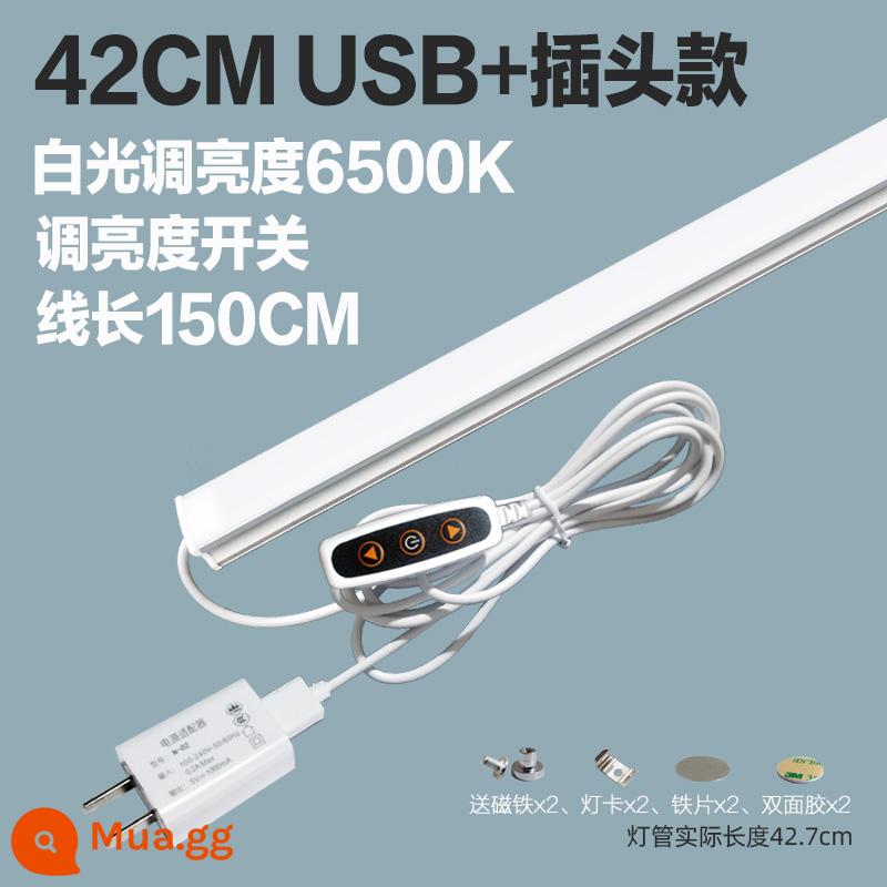 Thoáng Mát Đèn LED Để Bàn Ống USB Ký Túc Xá Sinh Viên Bảo Vệ Mắt Ánh Sáng Trắng Vô Cấp Mờ Dải Phòng Ngủ Hiện Đại Cắm Đèn - Đèn trắng 42cm [điều chỉnh độ sáng] Đầu cắm USB+