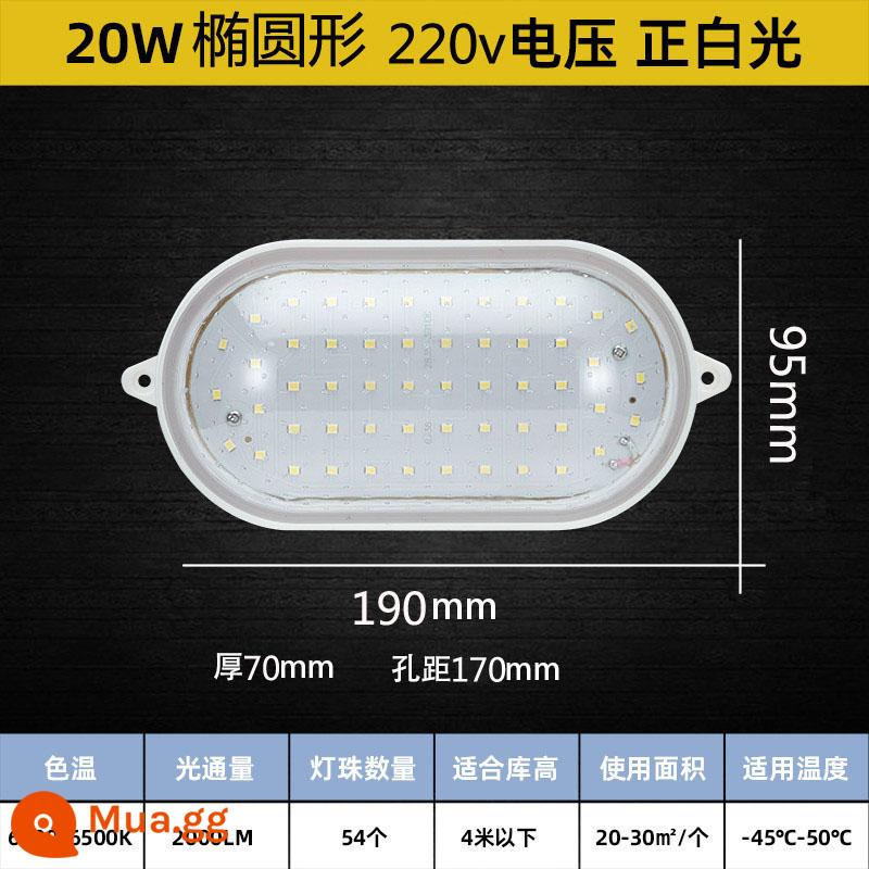 Đèn LED tủ lạnh 10w chống thấm nước, chống ẩm và chiếu sáng chống cháy nổ phòng tắm đèn ba ngăn tủ lạnh nhà máy nhiệt độ thấp đèn đặc biệt - 20W hình bầu dục lớn 220V (ổ đĩa độc lập)