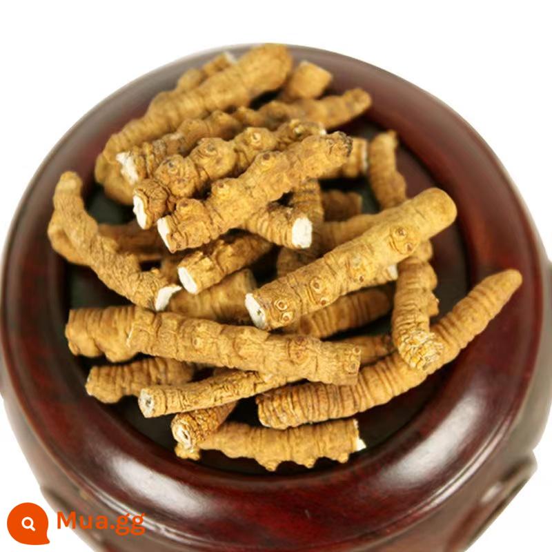 Hộp quà tặng lễ hội đông trùng hạ thảo Naqu Cordyceps hoang dã giai đoạn đầu chính hãng Cordyceps sinensis - Lễ hội thịt lớn Nagqu Đông trùng hạ thảo Tây Tạng đích thực gói 10g [giá cả phải chăng để tự ăn]