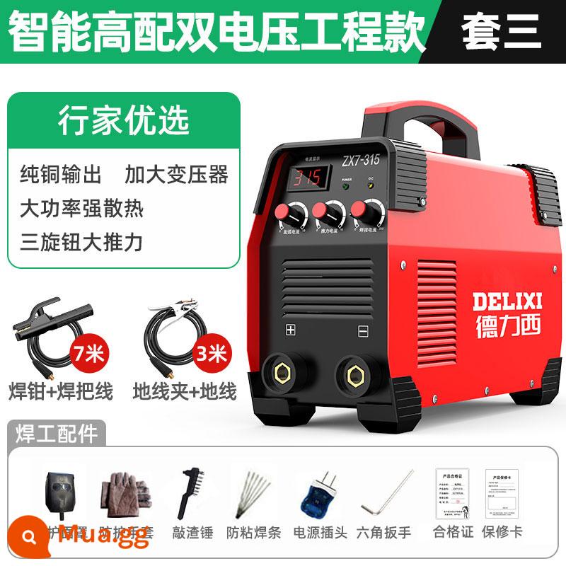 [Delixi 862] Máy hàn 220v gia đình 380v full đồng 250 315 điện áp kép di động nhỏ cầm tay - Cáp 10m kiểu công nghiệp điện áp kép cấu hình cao 315