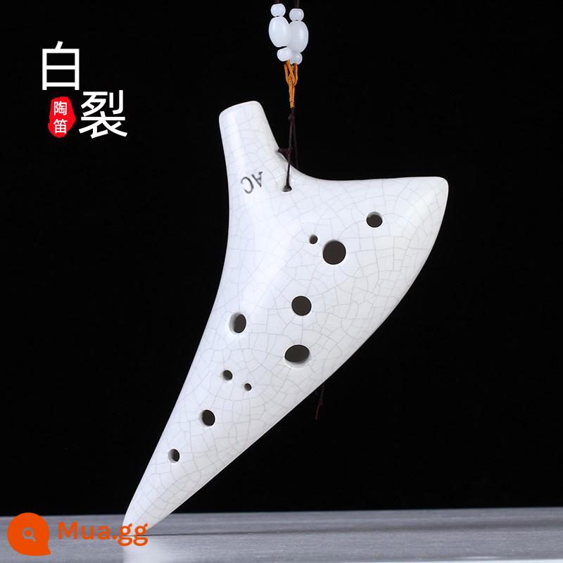 Ocarina 12 lỗ mới bắt đầu người mới bắt đầu alto C chỉnh 12 lỗ AC chuyên nghiệp gốm nhựa học sinh tiểu học 6 nhạc cụ - [Cấp độ cao thủ] Bai Hui: Người mới bắt đầu có thể học chơi trong một bước [Được quản lý cửa hàng khuyến khích]