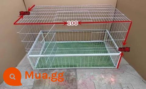 Bồ câu đập cửa Lồng cửa chủ động bồ câu đập cửa Lồng sắt bồ câu chỉ vào được chứ không nhảy ra được lồng trời rơi Lồng đập cửa cửa tự động - Có mã skylight 100*60*66 4 mặt nhập khẩu