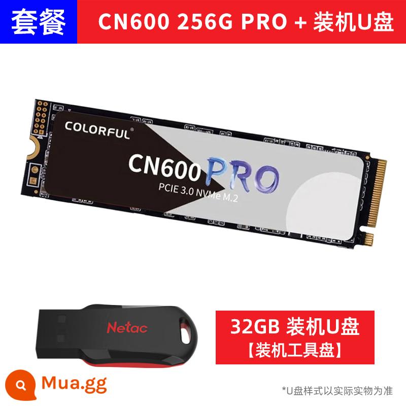 Nhiều màu sắc CN600 512G M.2 SSD máy tính để bàn NVME notebook pcie 4.0 ổ cứng thể rắn 1T - Ổ đĩa flash USB cài đặt CN600 256GB PRO+ 32GB