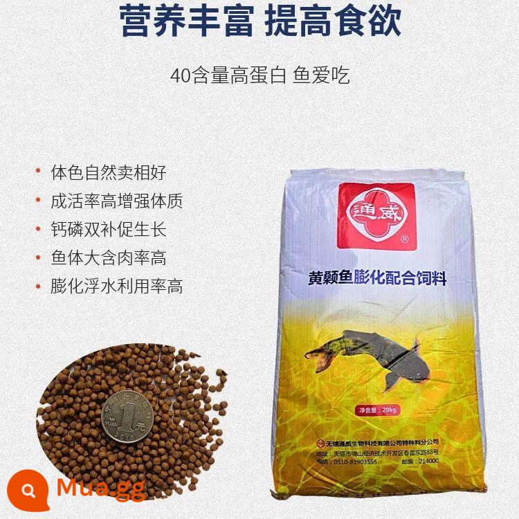 Tongwei cỏ cá chép thức ăn protein cao hồ chứa hạt lớn ao nuôi cá chép đặc biệt cá trích cá chép cá diếc thức ăn cá chép - Thức ăn cho cá trê vàng 40 pound 40 hàm lượng protein