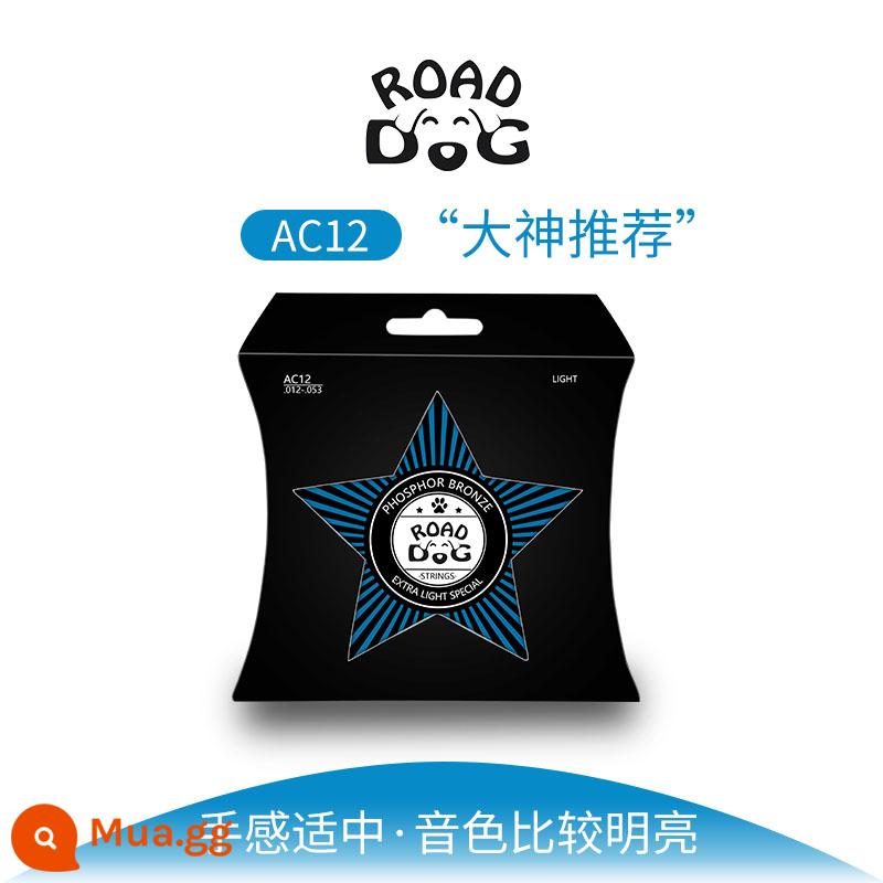 Road Dog Dây Đàn Guitar Dân Gian Bộ 6 Dây Đàn Guitar Bằng Gỗ Phủ Chống Gỉ - AC12