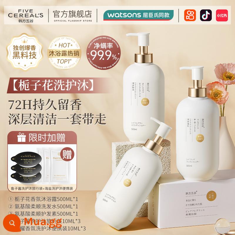 Sữa tắm axit amin Dầu gội lưu hương lâu 72h dành cho nam và nữ nước hoa loại body set hàng chính hãng - [Bộ sữa tắm và chăm sóc cơ thể Gardenia] Sữa tắm hương thơm axit amin 500ml + Dầu gội axit amin 500ml + Dầu xả axit amin 500ML