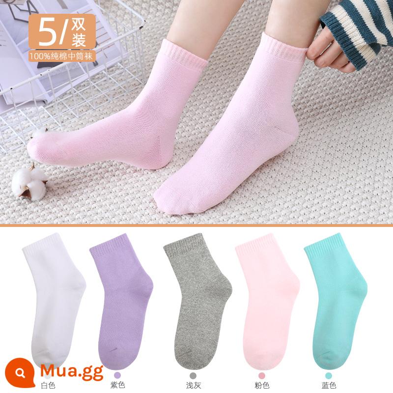 Vớ Langsha nam cotton nguyên chất mùa thu đông dày giữa ống Plus nhung ấm bông tất ống dài khăn sàn tất - Mẫu nữ 3687丨Hồng 1 xám nhạt 1 tím 1 trắng 1 xanh 1