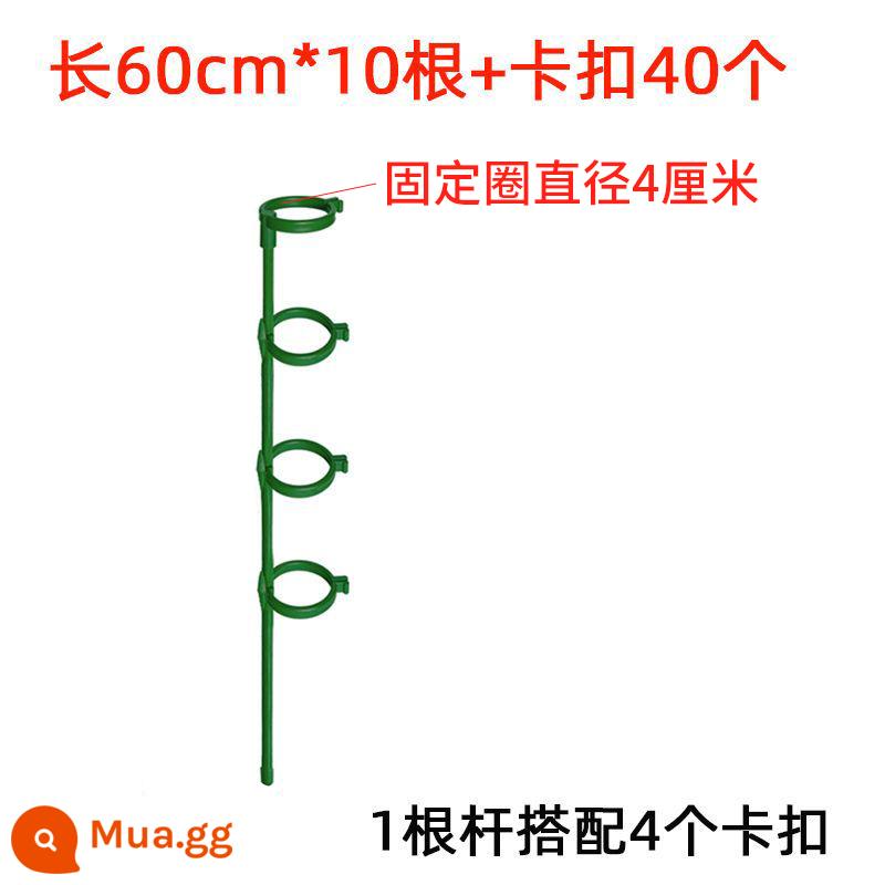 Vật Có Hoa Cố Định Chống Chỗ Ở Kệ Hoa Làm Vườn Hỗ Trợ Đơn Cực Sân Vườn Ngoài Trời Hoa Hồng Leo Cây Nho Cẩm Tú Cầu Hỗ Trợ Hoa Giá Đỡ - Đường kính lớn cao 60 cm [10 chiếc] kèm 40 khóa cố định