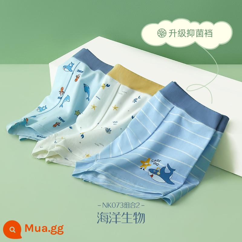 Đậu Đỏ Bé Trai Phương Thức Quần Lót Bé Trai Lớn Quần Lót Boxer Trẻ Em Cotton Nguyên Chất Đáy Đáy Quần Mỏng Thiếu Niên Quần Lót Boxer Mùa Hè - Sinh vật biển [48% cotton + 46% mox] đáy quần kháng khuẩn nâng cấp