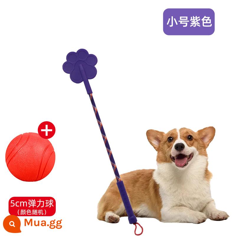 Dog hit dog stick thiết bị huấn luyện chó pet love beat roi huấn luyện dog stick dog hit stick training dog stick training đồ dùng cho chó - Kèn tím + bóng nhảy đặc