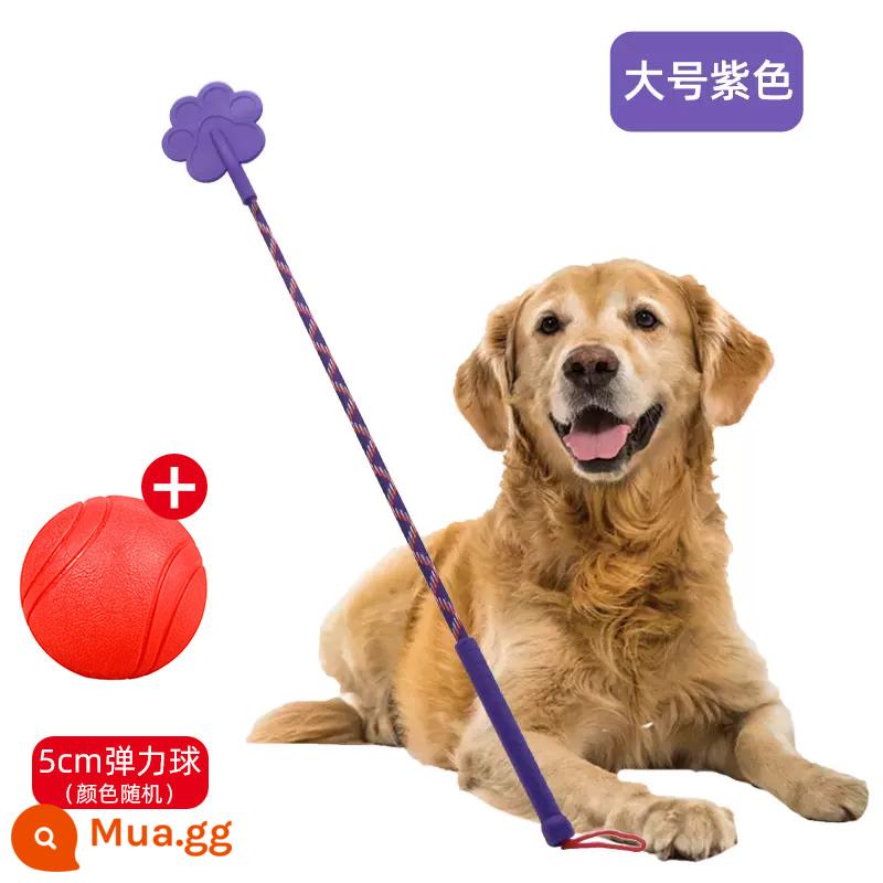 Dog hit dog stick thiết bị huấn luyện chó pet love beat roi huấn luyện dog stick dog hit stick training dog stick training đồ dùng cho chó - Bóng nhảy lớn + rắn màu tím