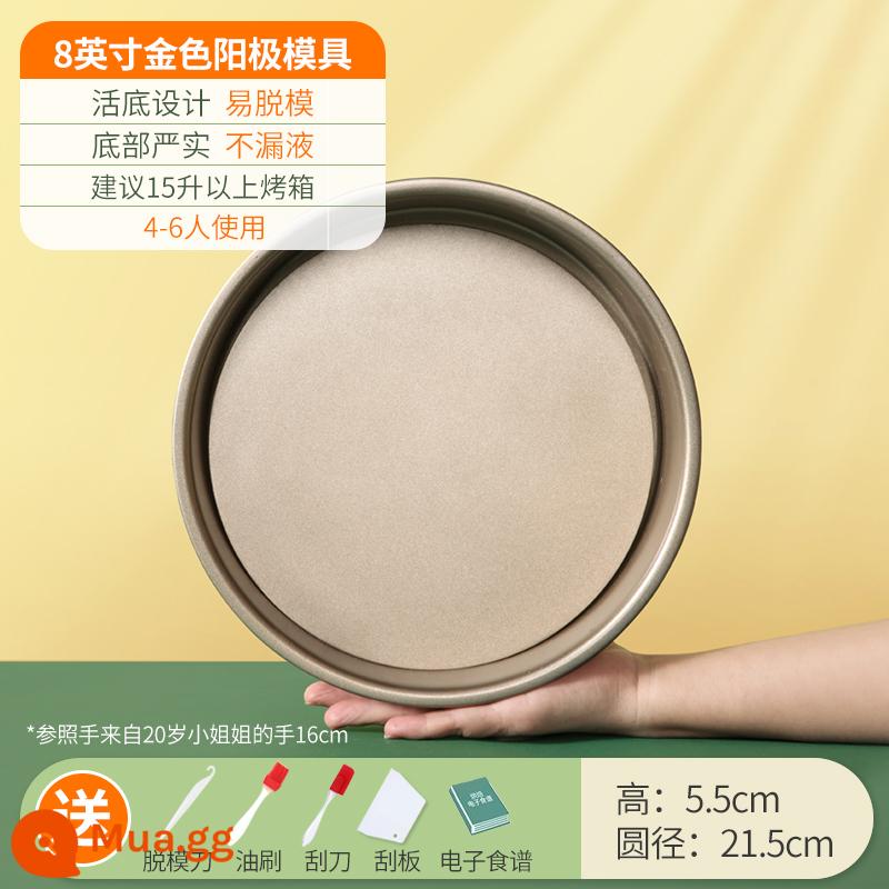 Khuôn Làm Bánh Voan Hộ Gia Đình Bộ Mousse Sống Đáy Lò Nướng Công Cụ Mài Mòn 468 6/8 Phôi 4 Inch - [Vàng] Đáy tròn 8 inch (quà tặng)