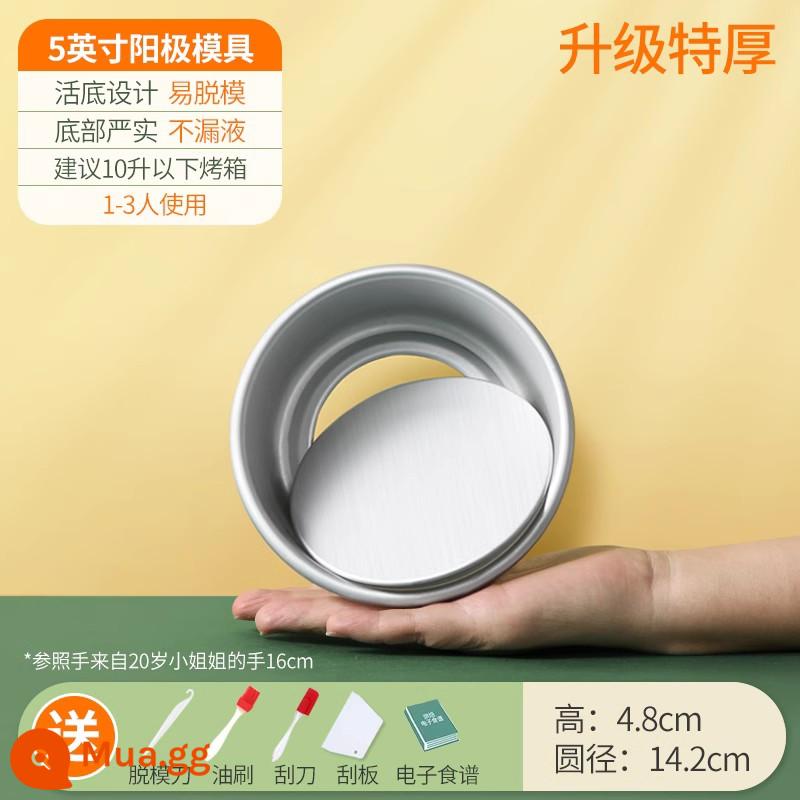 Khuôn Làm Bánh Voan Hộ Gia Đình Bộ Mousse Sống Đáy Lò Nướng Công Cụ Mài Mòn 468 6/8 Phôi 4 Inch - [1-2 người] Đáy sống cực dương 5 inch❤ cực dày + năm quà tặng tuyệt vời