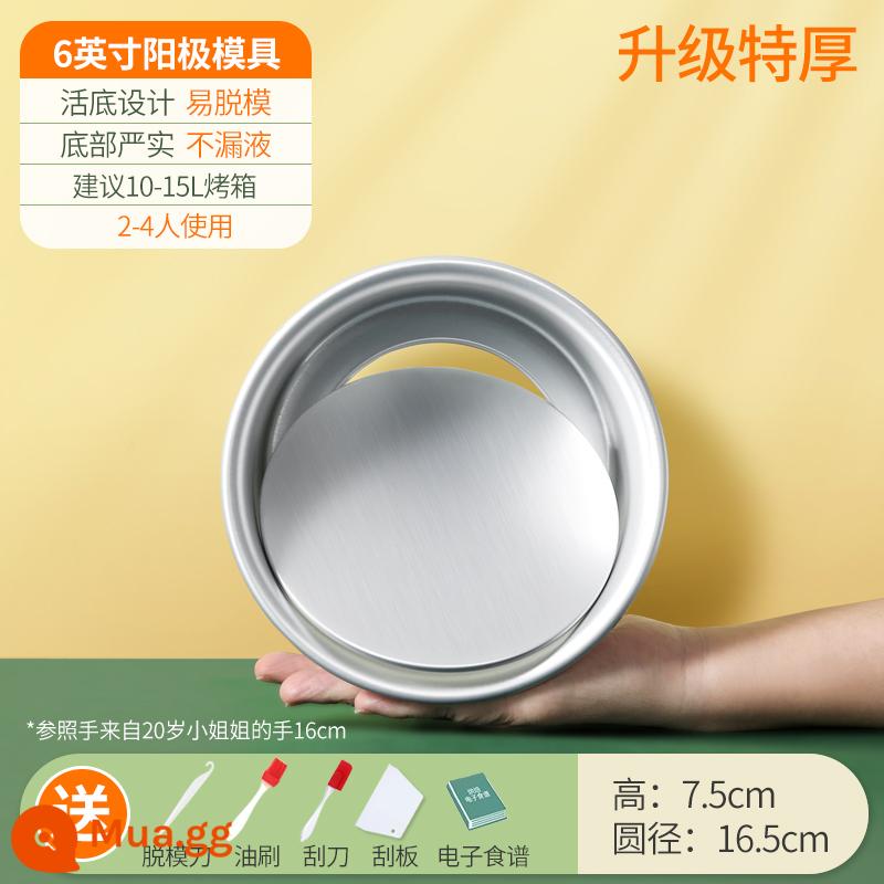 Khuôn Làm Bánh Voan Hộ Gia Đình Bộ Mousse Sống Đáy Lò Nướng Công Cụ Mài Mòn 468 6/8 Phôi 4 Inch - [Sum cho 2-4 người] Đáy sống cực dương 6 inch❤ Cực dày + năm quà cực chất