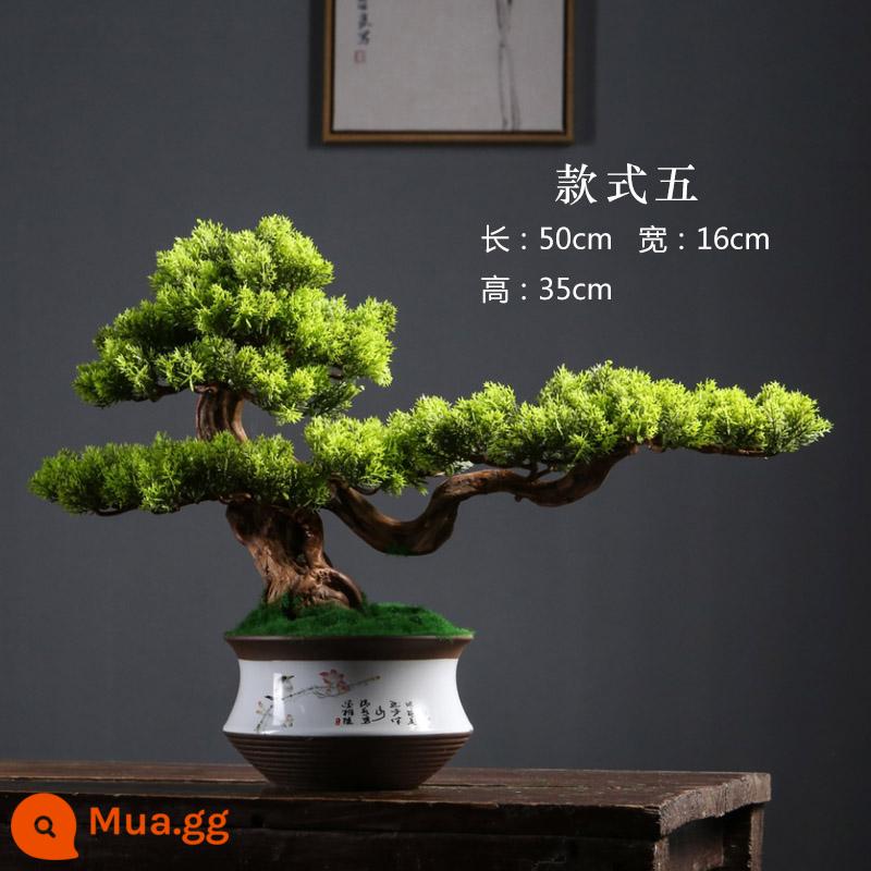 Thuja bonsai mô phỏng cây thông xanh chào đón cây bonsai đồ trang trí cảnh quan trang trí khách sạn cây mô phỏng hiên nhà cảnh quan nội thất - Cũ cọc kiểu năm