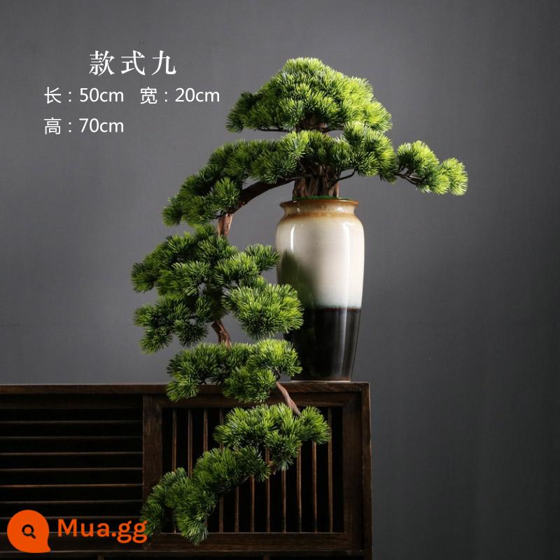 Thuja bonsai mô phỏng cây thông xanh chào đón cây bonsai đồ trang trí cảnh quan trang trí khách sạn cây mô phỏng hiên nhà cảnh quan nội thất - Cũ cọc kiểu chín