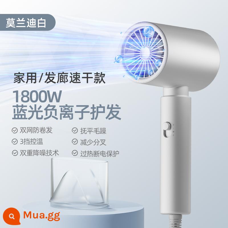 Trường trái cây SCHGUO máy sấy tóc hộ gia đình chăm sóc tóc ion âm công suất nhỏ 800W ký túc xá dành cho học sinh 500W im lặng - Màu trắng ngà (chăm sóc tóc ion âm ánh sáng xanh 1800w)