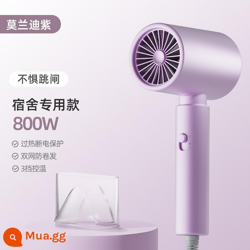 Trường trái cây SCHGUO máy sấy tóc hộ gia đình chăm sóc tóc ion âm công suất nhỏ 800W ký túc xá dành cho học sinh 500W im lặng - Tím hoa cà (model ký túc xá 800w)