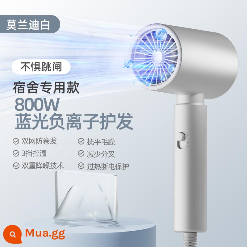 Trường trái cây SCHGUO máy sấy tóc hộ gia đình chăm sóc tóc ion âm công suất nhỏ 800W ký túc xá dành cho học sinh 500W im lặng - Màu trắng ngà (chăm sóc tóc ion âm ánh sáng xanh 800w)