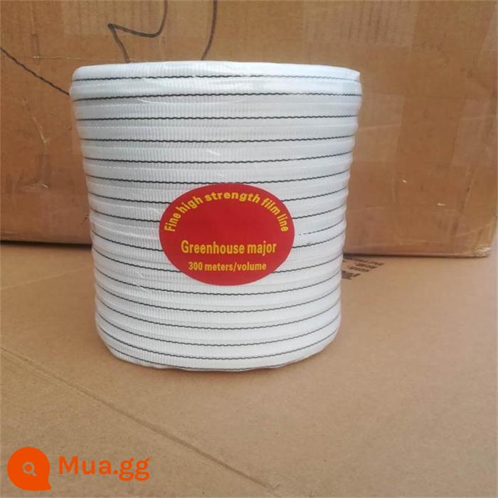 Nhà Kính Phụ Kiện Sợi Polyester Lụa Cao Cấp Trắng Nhiều Lớp Màng Nhiều Lớp Dây Chất Lượng Cao Chống Lão Hóa Khuyến Mãi Miễn Phí Vận Chuyển - 1.5cm 300m nhãn đỏ xuất khẩu 1.7kg