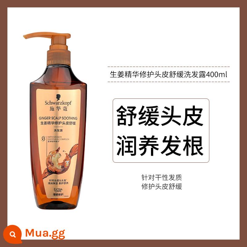 Dầu gội Schwarzkopf Dầu gội đa tác dụng phục hồi độ bồng bềnh phong phú cải thiện tóc xoăn mượt dầu xả - Dầu Gội Gừng Làm Dịu Da Đầu 400ml