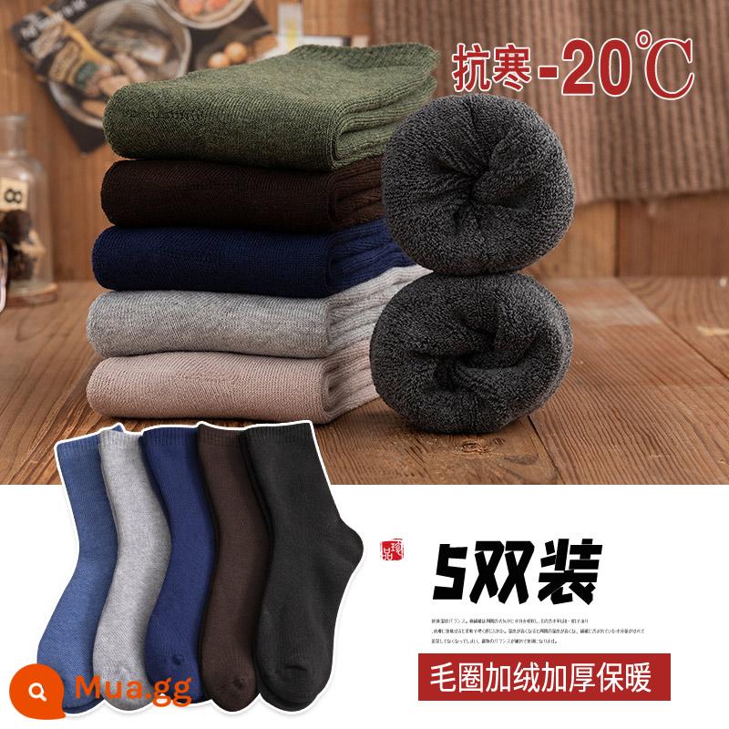 Vớ nam mùa đông cộng với nhung dày vòng tròn vớ cotton dài retro vớ dài mùa thu và khăn mùa đông tất - (Tổ hợp B-246 1) 5 đôi