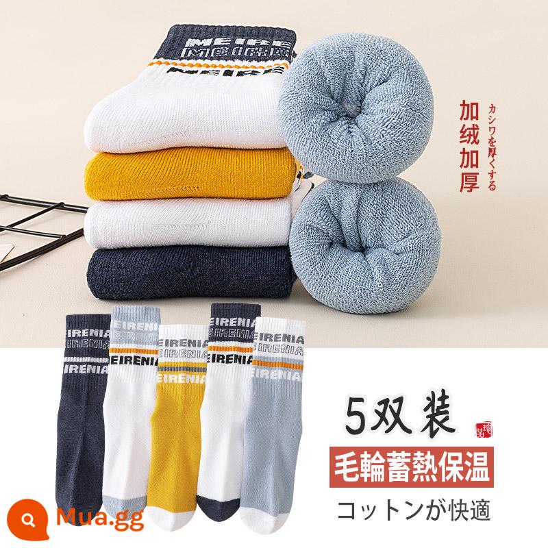 Vớ nam mùa đông cộng với nhung dày vòng tròn vớ cotton dài retro vớ dài mùa thu và khăn mùa đông tất - B-359 (5 đôi)