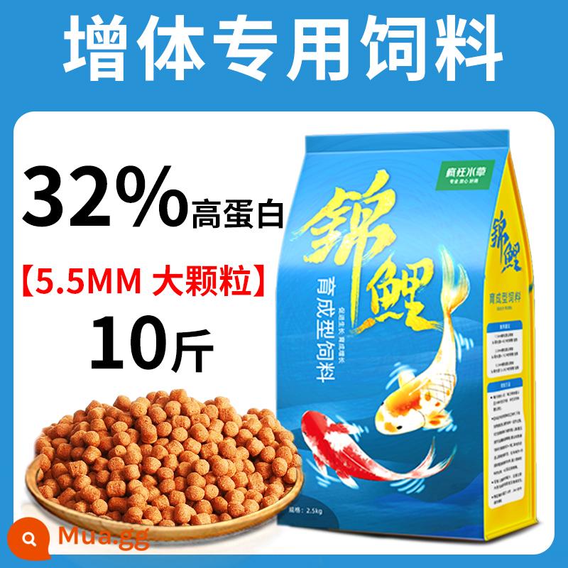 Thức ăn cho cá koi thức ăn cho cá tăng cường màu sắc cá vàng cá cảnh đặc biệt thức ăn cho cá chép thức ăn cho cá thức ăn hạt nhỏ nuôi cá koi nói chung - Thức ăn cho cá giống 5.5mm 10kg