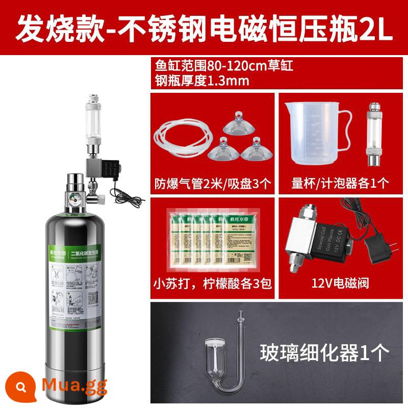 Crazy nước cỏ carbon dioxide xi lanh nhỏ cỏ xe tăng đặt bể cá tự chế đặc biệt xi lanh áp suất cao co2 máy phát điện - [Mẫu sốt] Bình áp suất không đổi điện từ bằng thép không gỉ 2L