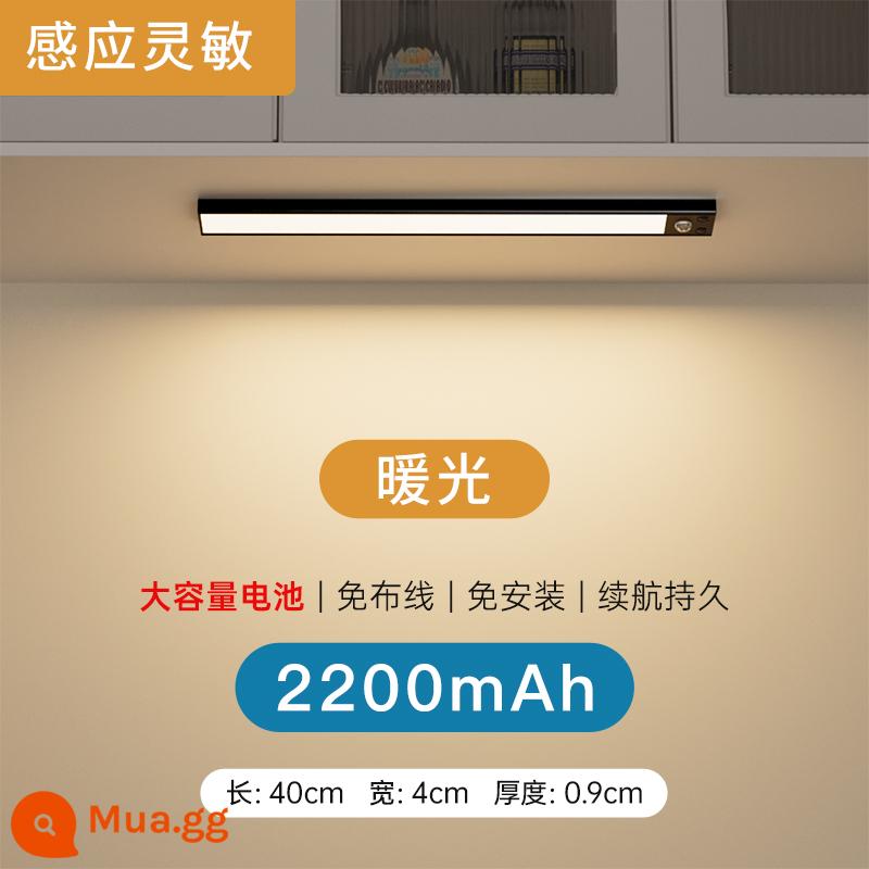 LED ánh sáng tủ tổng thể thông minh với cơ thể con người cảm ứng không dây tự dính có thể sạc lại nhà bếp tủ rượu tủ quần áo tủ giày thanh ánh sáng - [Đen] Tuổi thọ pin cao - Ánh sáng ấm áp 40CM [cơ thể người + cảm giác ánh sáng + độ sáng không đổi + điều chỉnh độ sáng]