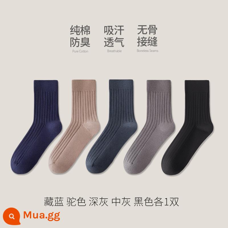 Tất cotton Tân Cương nam ống giữa cotton nguyên chất mùa đông dày dặn khử mùi ống dài kinh doanh thu đông đen cotton nam - [Phong cách thu đông] 1 đôi mỗi màu xanh nước biển-lạc đà-xám đậm-xám vừa-đen