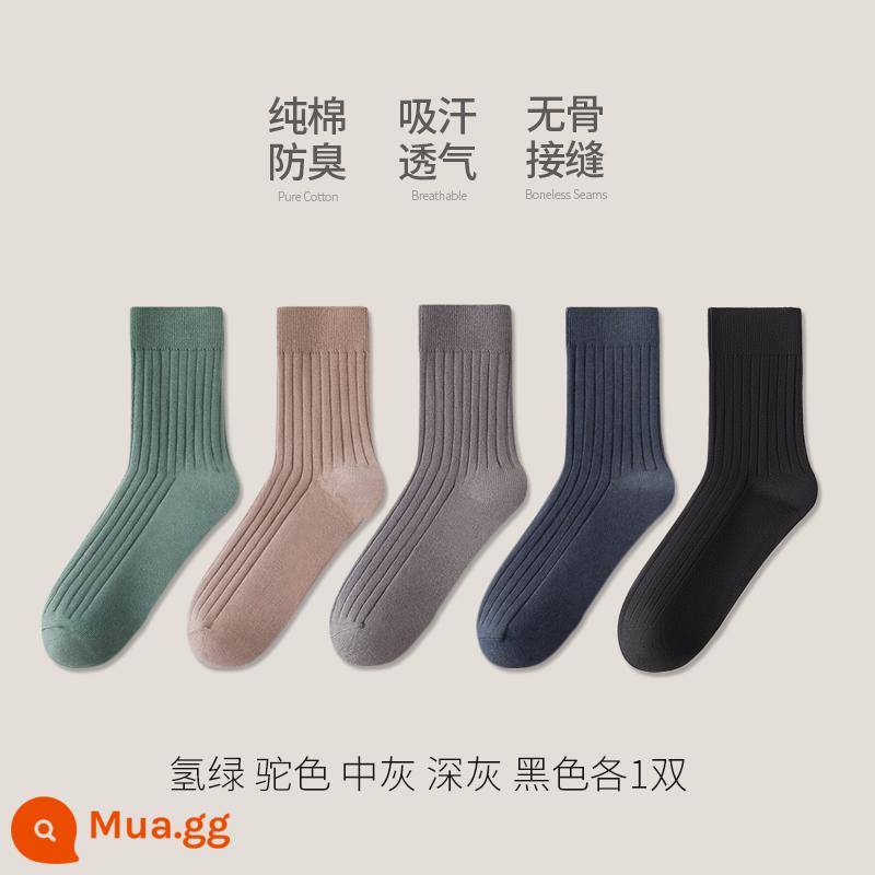 Tất cotton Tân Cương nam ống giữa cotton nguyên chất mùa đông dày dặn khử mùi ống dài kinh doanh thu đông đen cotton nam - [Phong cách thu đông] Xanh hydro-Camel-Xám vừa-Xám đậm-Đen 1 đôi mỗi loại