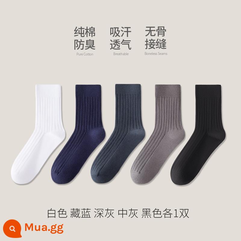 Tất cotton Tân Cương nam ống giữa cotton nguyên chất mùa đông dày dặn khử mùi ống dài kinh doanh thu đông đen cotton nam - [Phong cách thu đông] 1 đôi mỗi màu trắng-xanh nước biển-xám đậm-xám vừa-đen