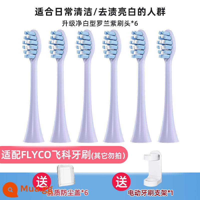 TEETIPS thích ứng với đầu bàn chải đánh răng điện Flyco TH01/FT7105/7108/7205 thay thế đa năng - Gói 6 Bông Hồng Trắng Thanh Lọc Nâng Cấp