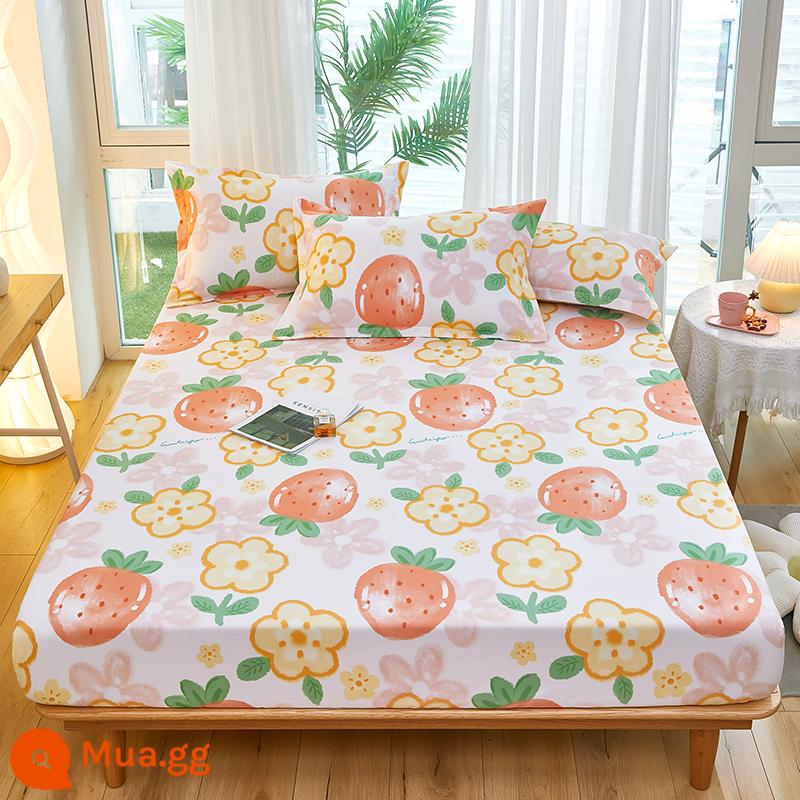 Túi trải giường bằng cotton dày dặn, ga trải giường bằng vải cotton một mảnh, nệm 1,8m, túi trải giường chống trượt 1,5 bộ ga trải giường trọn gói, bộ 3 món - Chuyện Dâu Tây