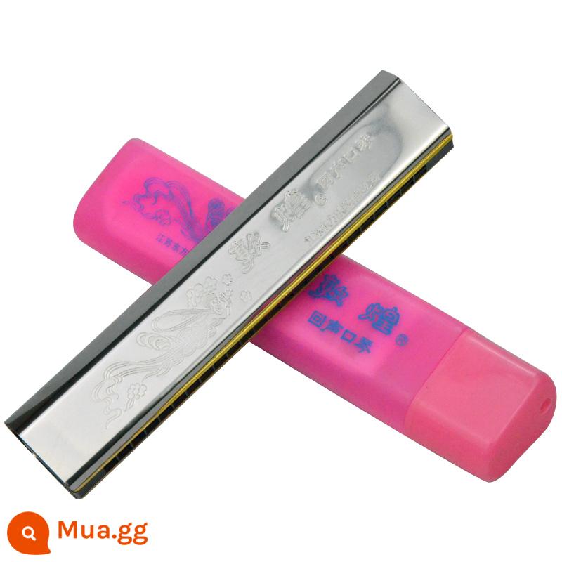 Nhà máy tổng hợp Thượng Hải thương hiệu cũ 24 lỗ echo harmonica C-tune người mới bắt đầu người mới bắt đầu nâng cao người lớn chuyên nghiệp chơi nhạc cụ - Tiếng vang 24 lỗ Đôn Hoàng [tiêu chuẩn gốc]