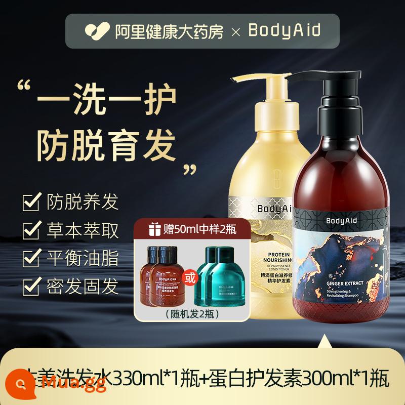 Bodyaid bồ kết lá gừng dầu gội chống rụng tăng tóc chắc tóc mọc chắc chân kiểm soát dầu gội mềm mượt - Gừng chống rụng tóc 330ml*1 chai + dầu xả protein 300ml*1 chai