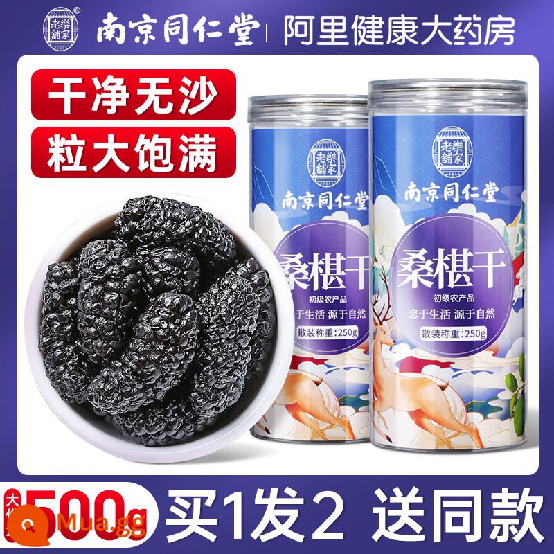 Trái cây khô dâu tằm Nam Kinh Tongrentang 500g dâu đen đặc biệt cửa hàng hàng đầu chính thức loại trà Tân Cương không rửa không cát - [Dâu sấy không cát] Mua 1 tặng 1, tổng cộng 500g